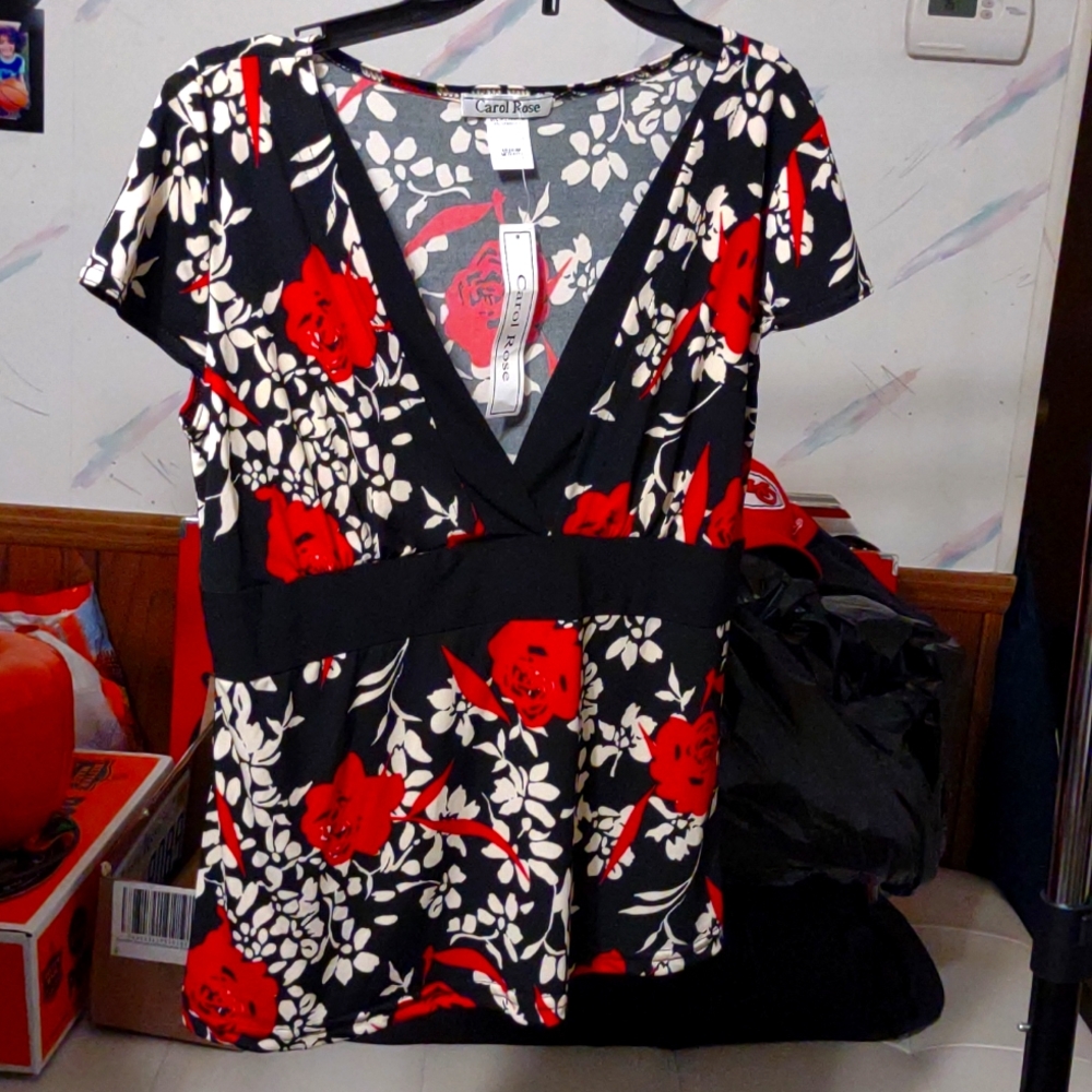Carol Rose Top